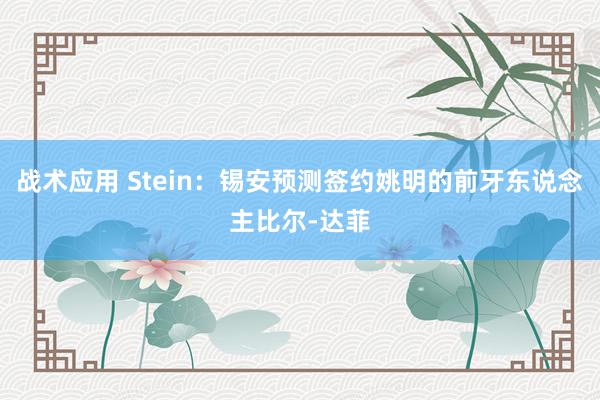 战术应用 Stein：锡安预测签约姚明的前牙东说念主比尔-达菲