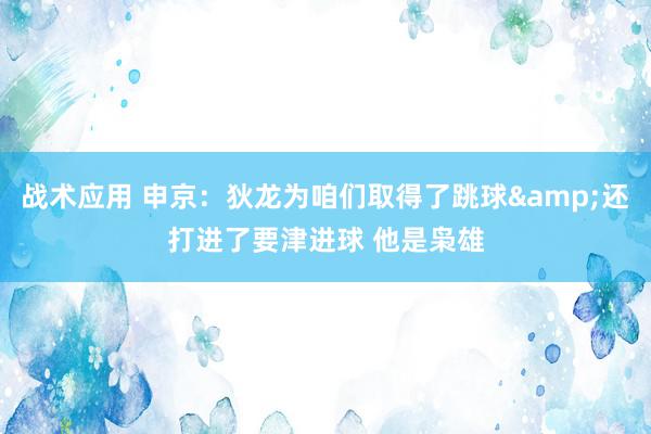 战术应用 申京：狄龙为咱们取得了跳球&还打进了要津进球 他是枭雄