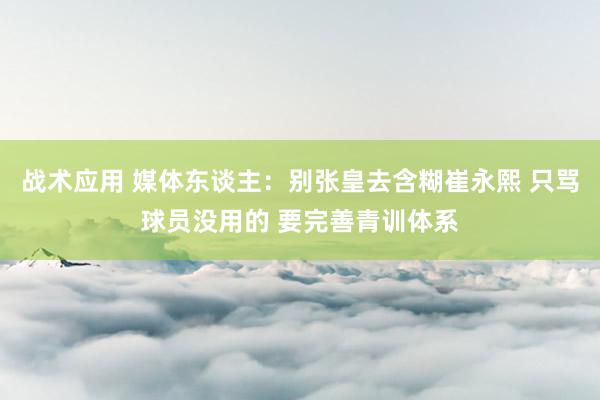 战术应用 媒体东谈主：别张皇去含糊崔永熙 只骂球员没用的 要完善青训体系